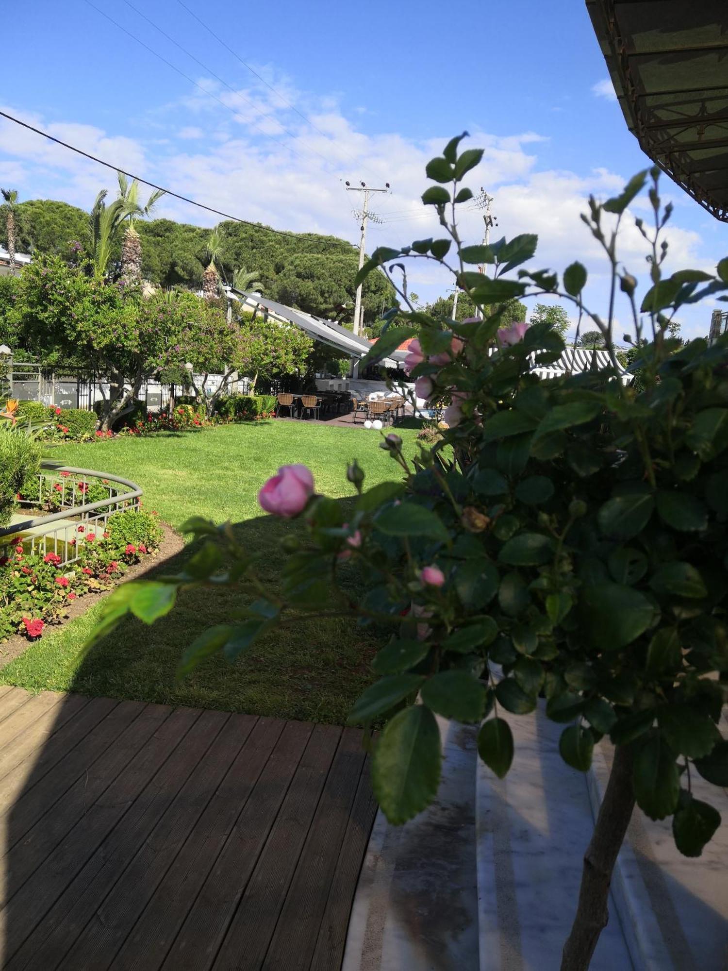 Naiades Villas 카토아케이아 외부 사진